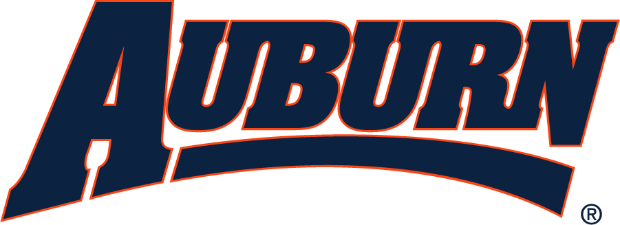 Auburn Tigers 1997-2006 Wordmark Logo diy iron on heat transfer